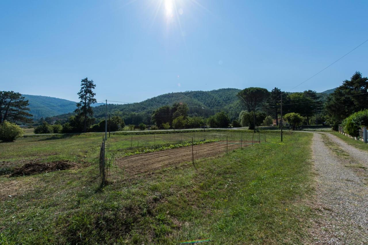 Ferienwohnung Il Rifugio Di Amelia Arezzo Exterior foto